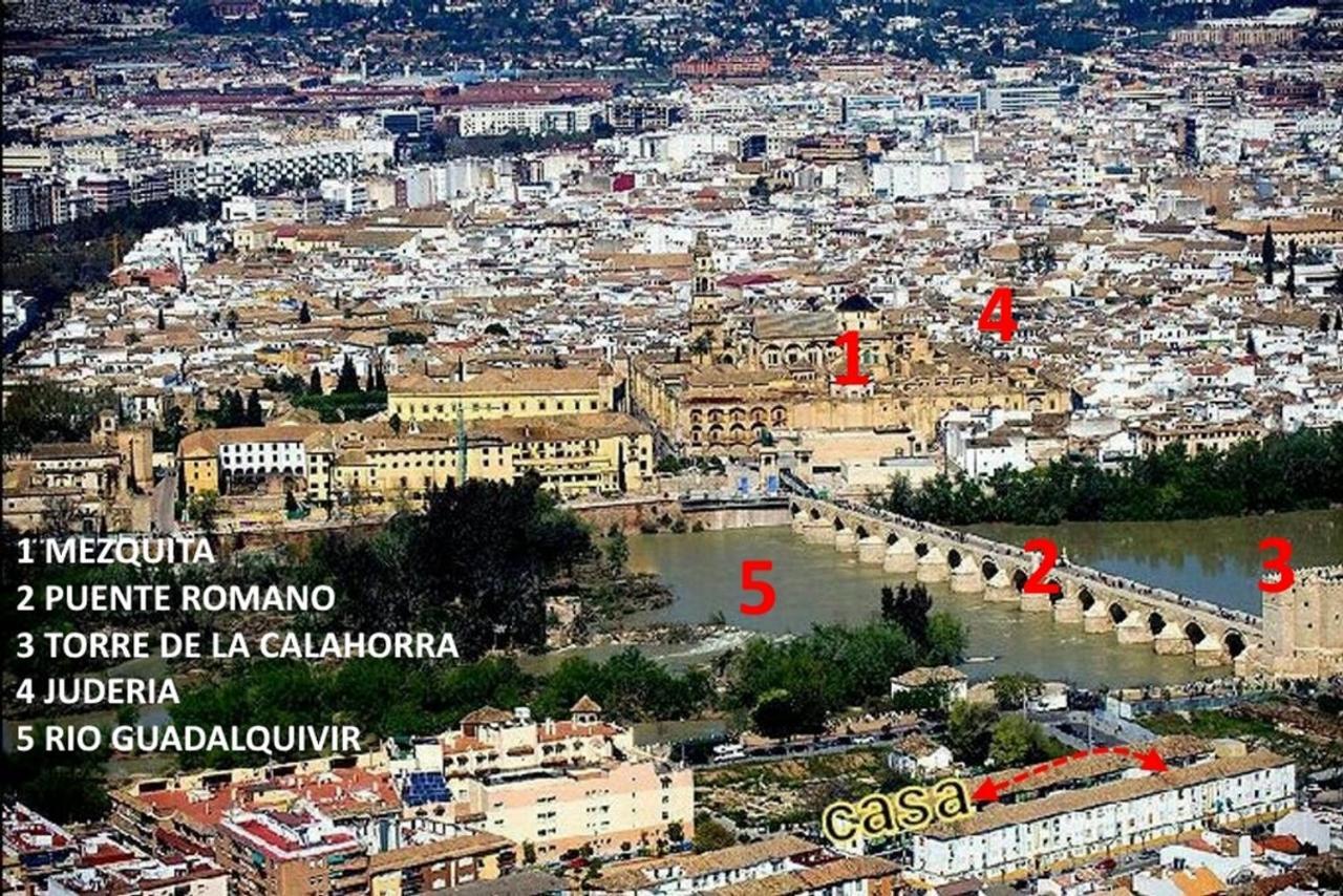 Acogedor Loft En Bajo Centrico Con Parking Wifi Apartment Córdoba Exterior foto